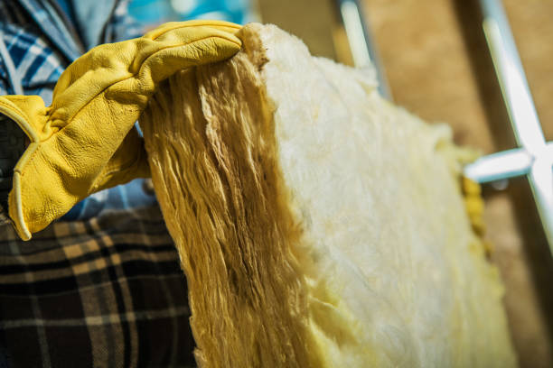 Best Eco-Friendly Insulation in Glenwood, IA