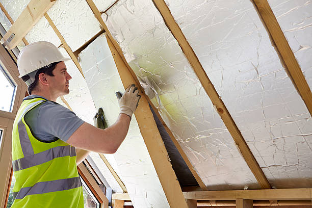 Best Cellulose Insulation in Glenwood, IA